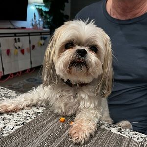 Meet your Posher, Lulu